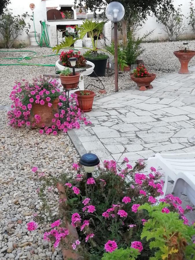 אנזיו B&B Villa Claudia מראה חיצוני תמונה